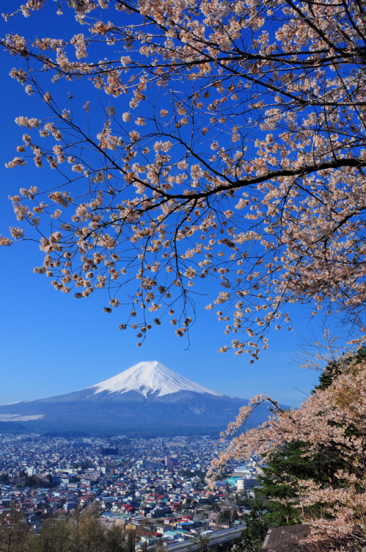 富士山画像作品