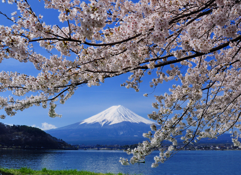 富士山画像作品