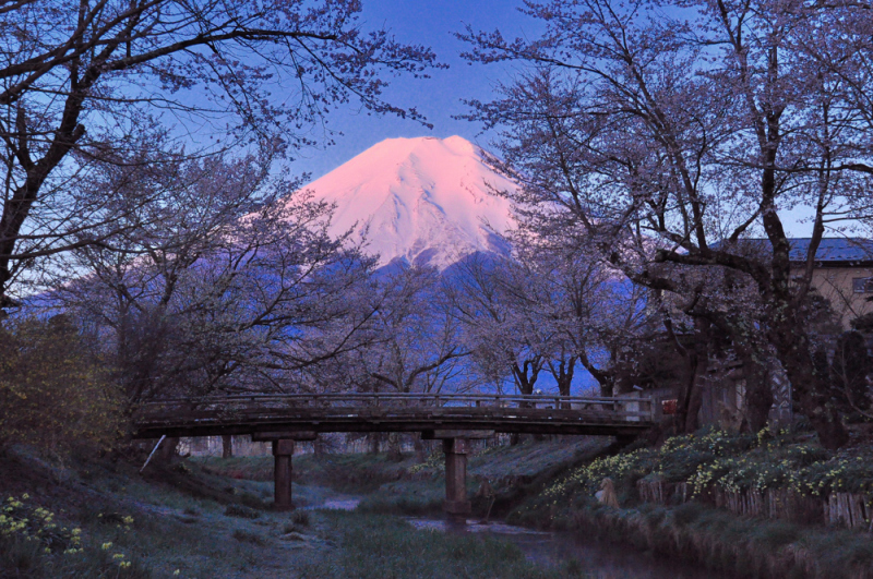 富士山画像作品