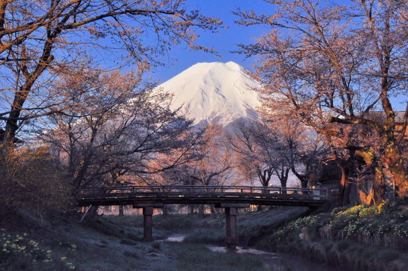 富士山画像作品