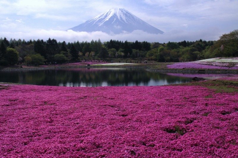 富士山画像作品