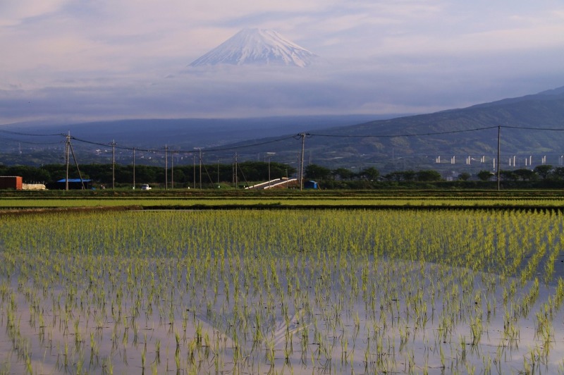 富士山画像作品