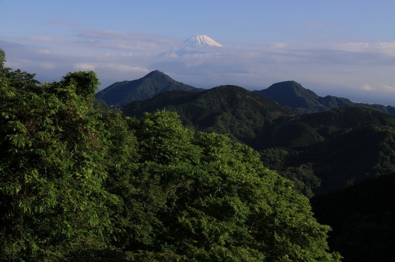 富士山画像作品