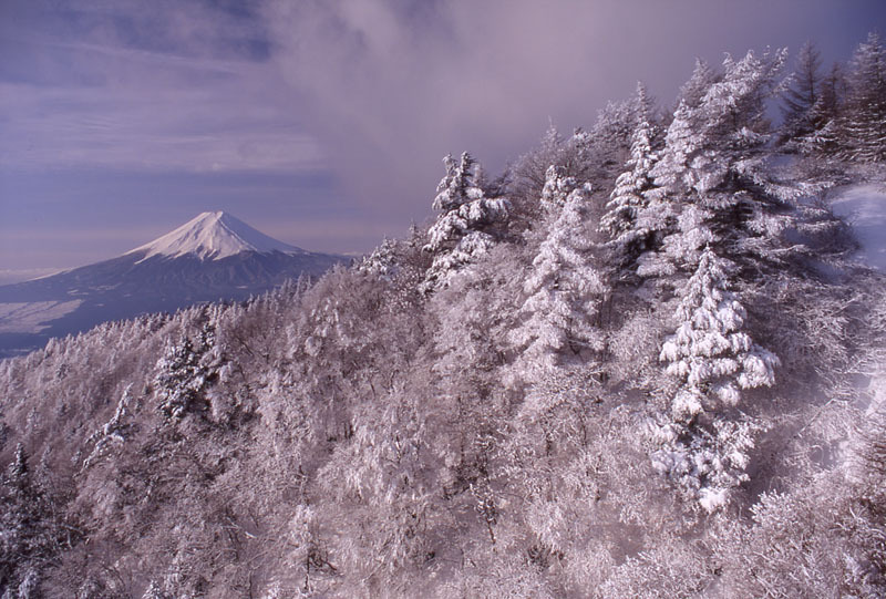 富士山画像作品