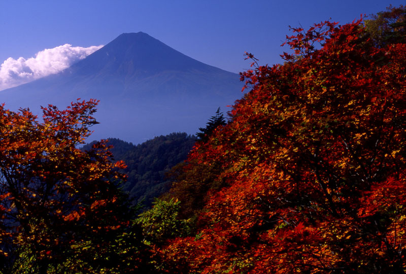 富士山画像作品