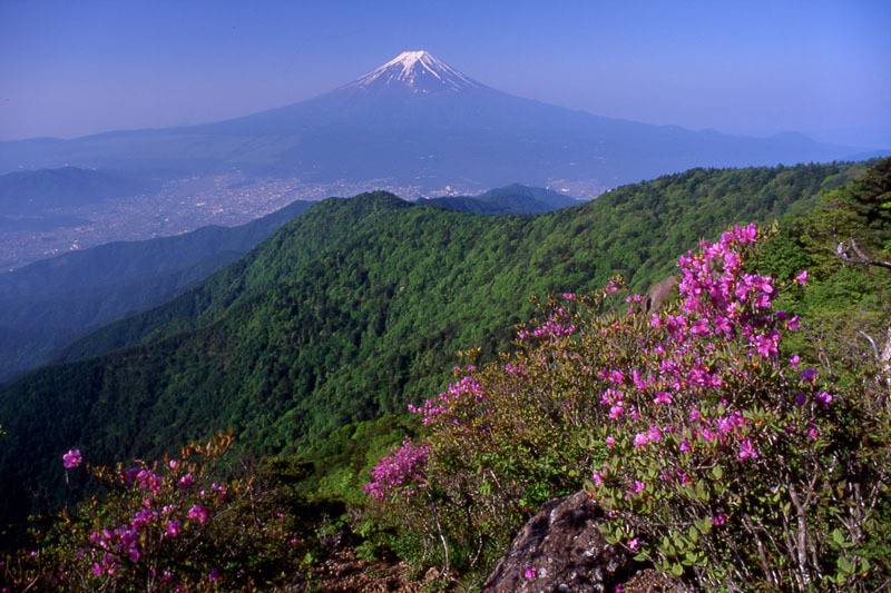 富士山画像作品