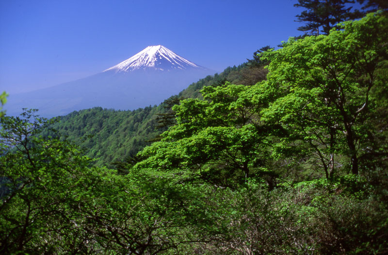 富士山画像作品