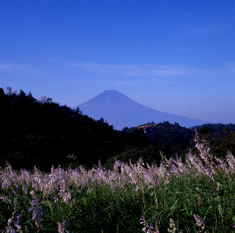 富士山画像作品