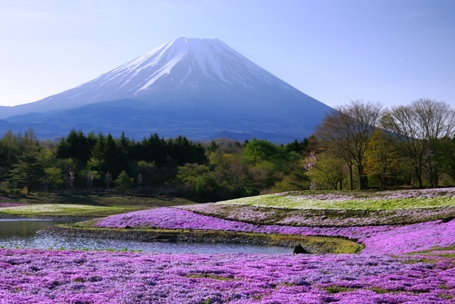 富士山画像作品