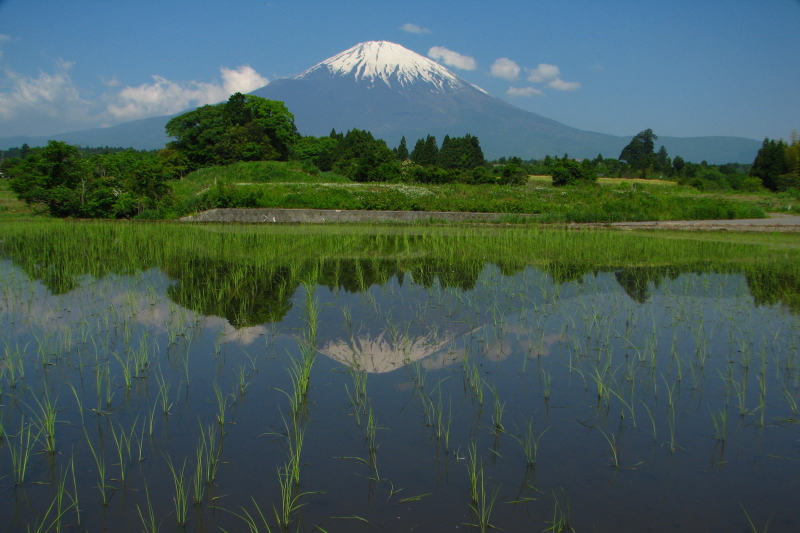 富士山画像作品