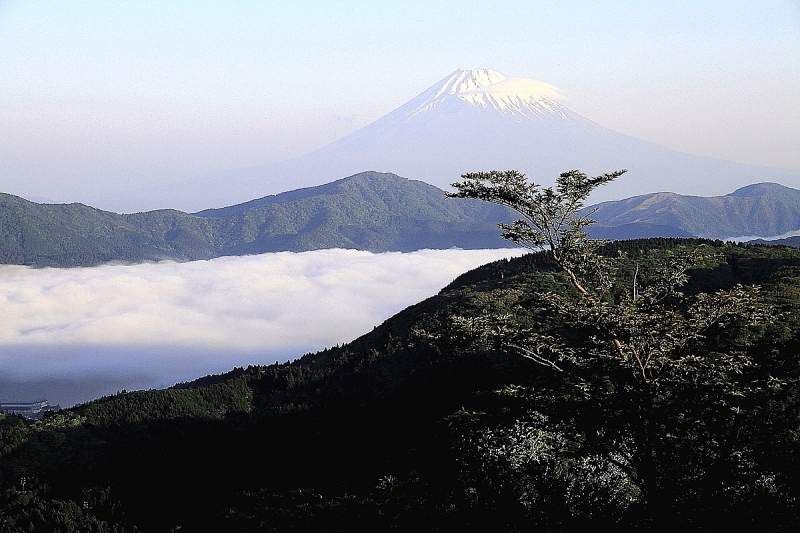 富士山画像作品