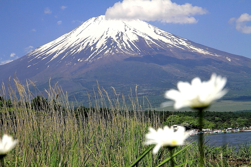 富士山画像作品