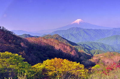 富士山画像作品