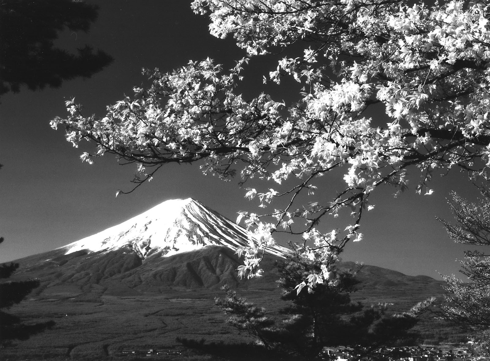 富士山画像作品