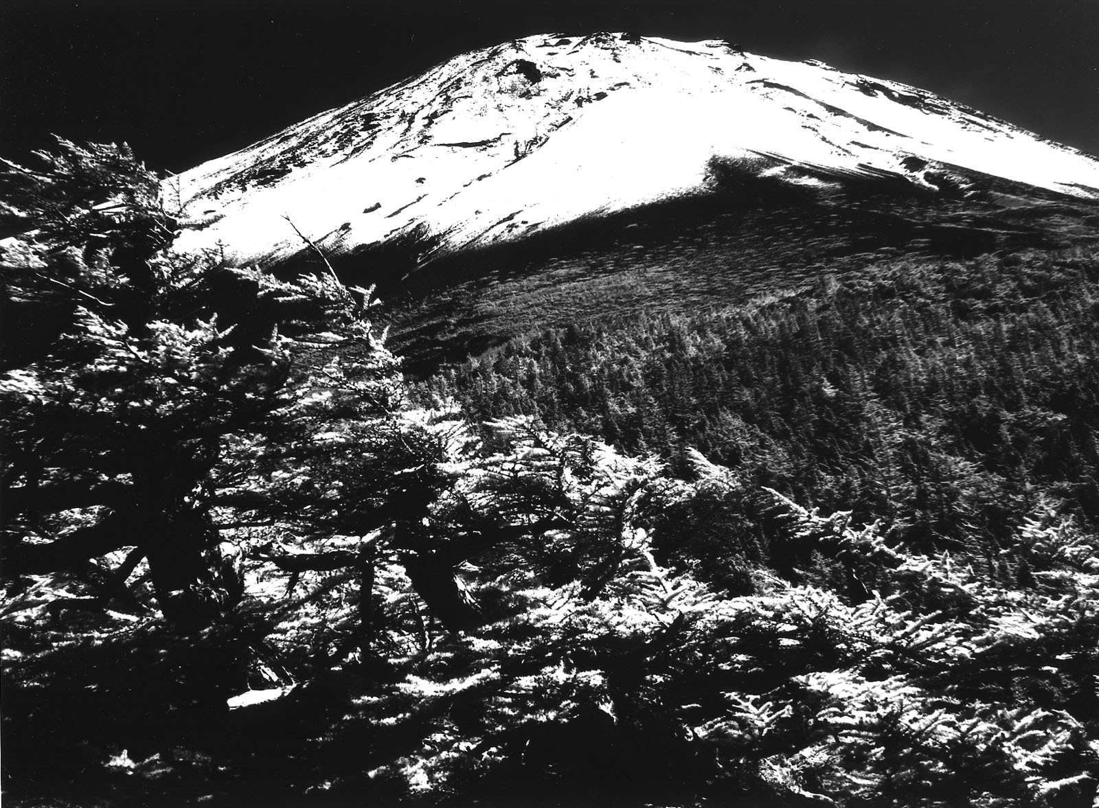 富士山画像作品