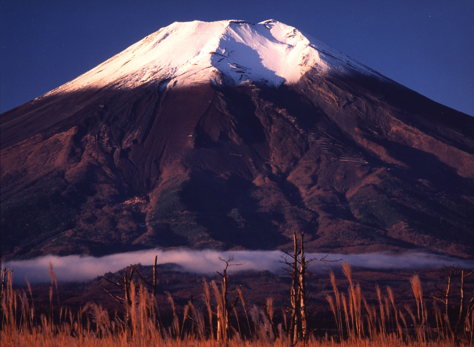 富士山画像作品