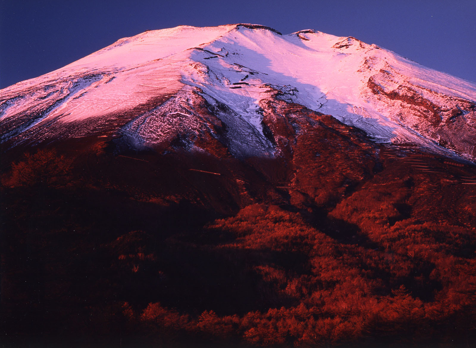 富士山画像作品