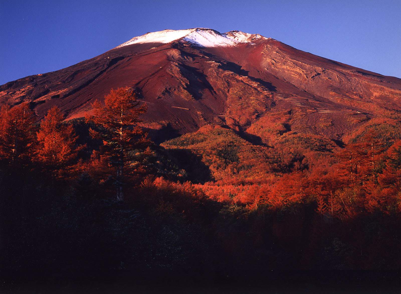 富士山画像作品