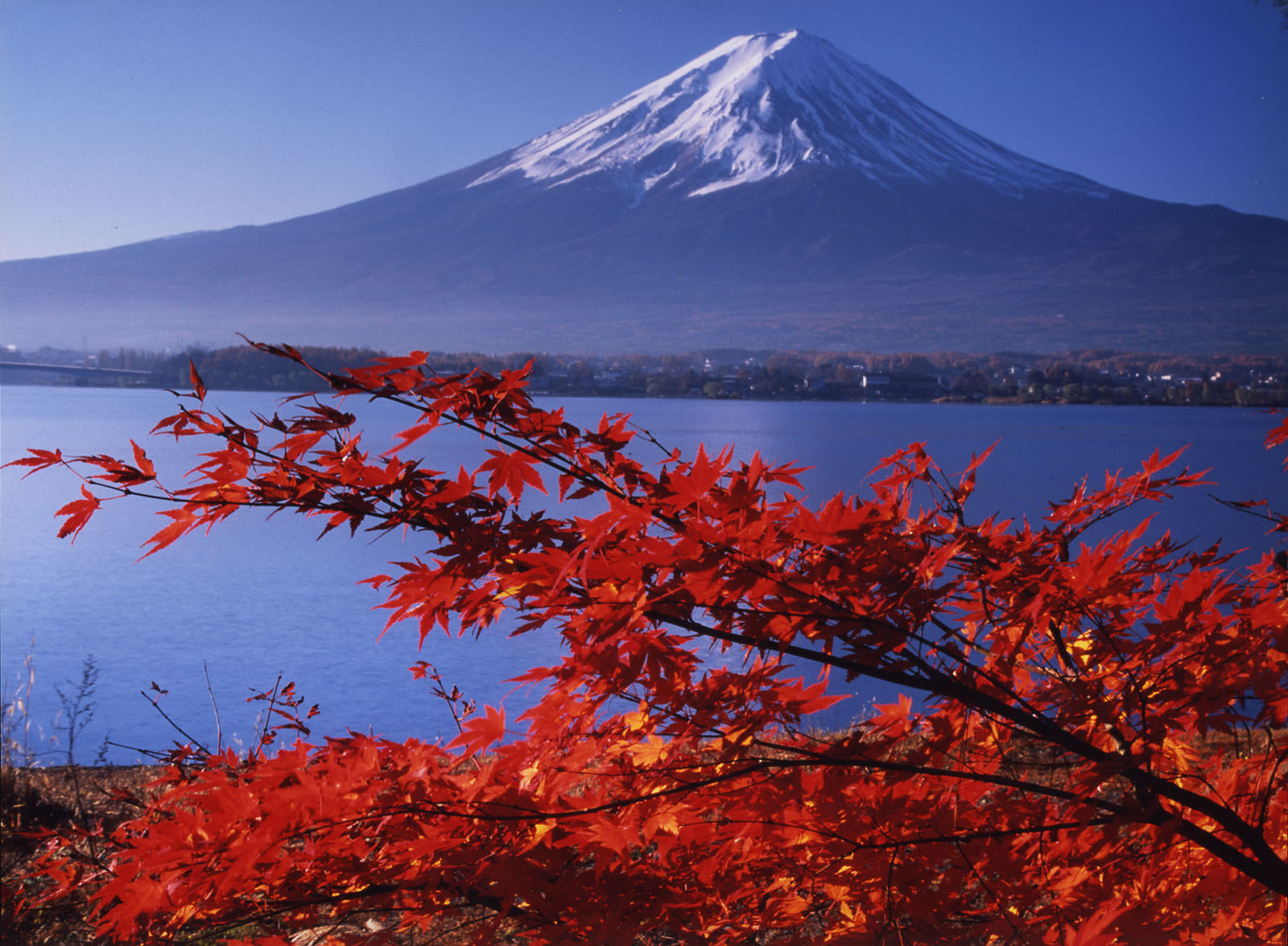 富士山画像作品