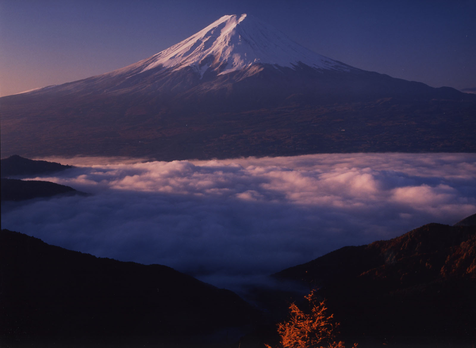 富士山画像作品