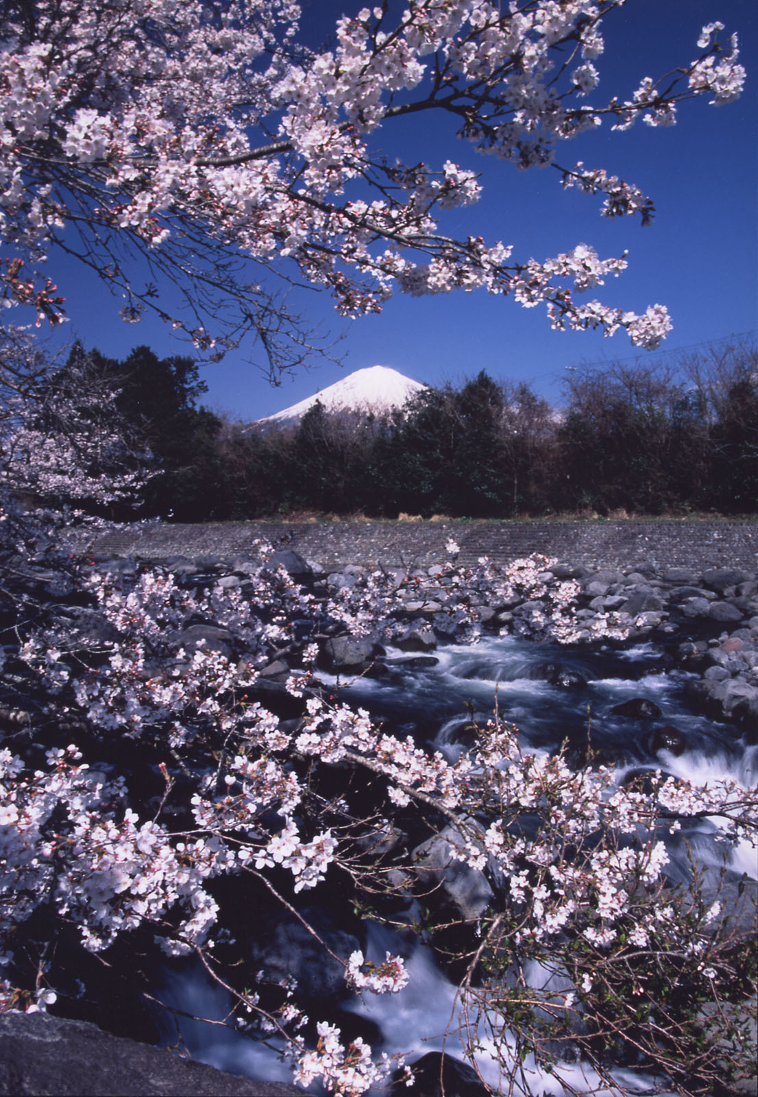 富士山画像作品