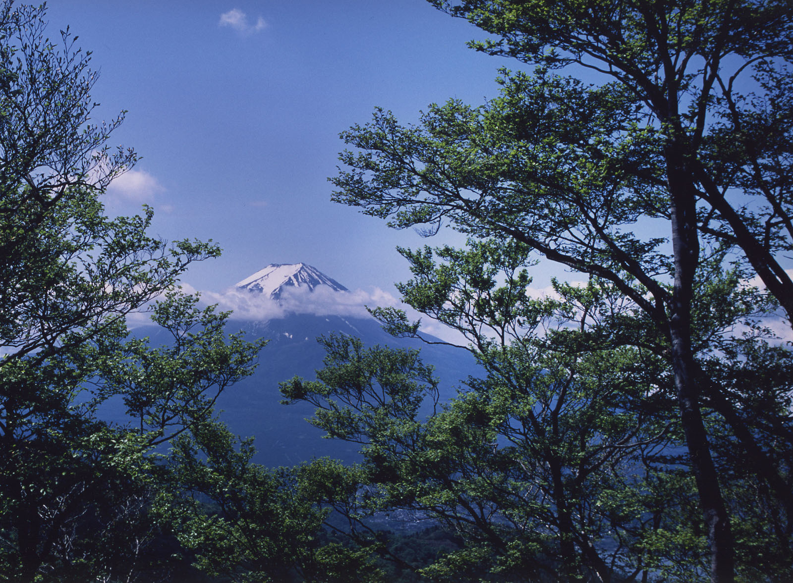 富士山画像作品