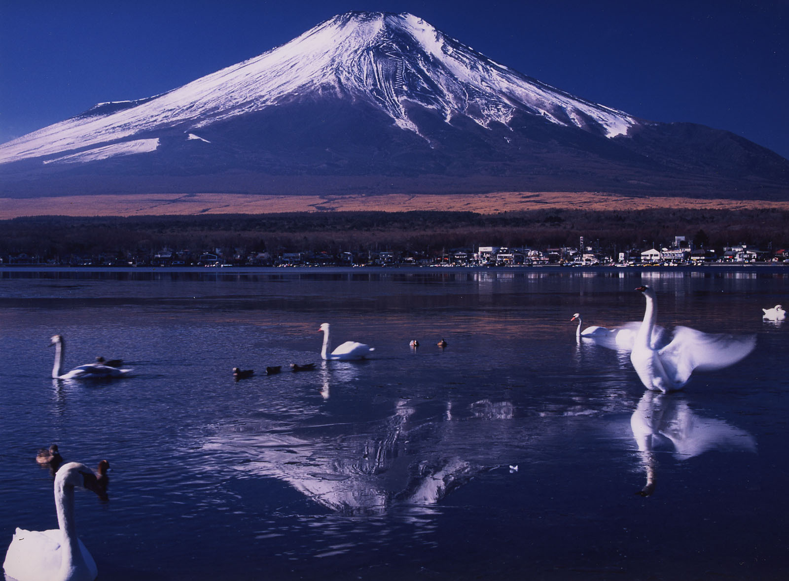 富士山画像作品