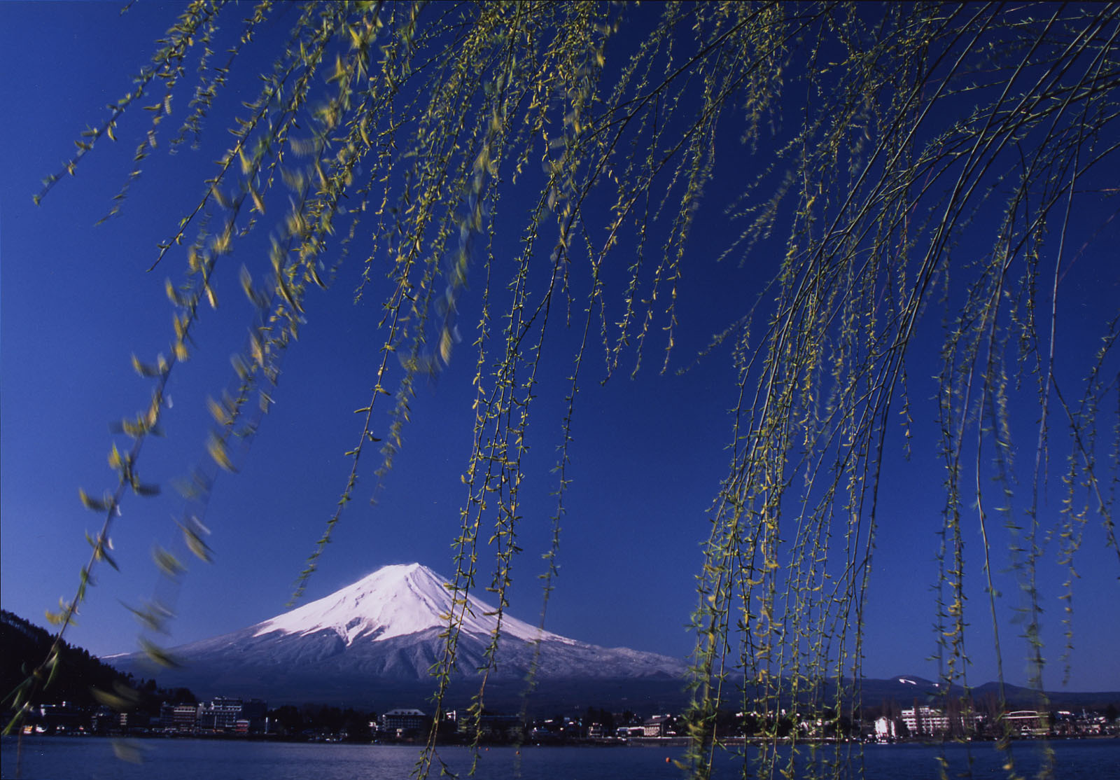 富士山画像作品