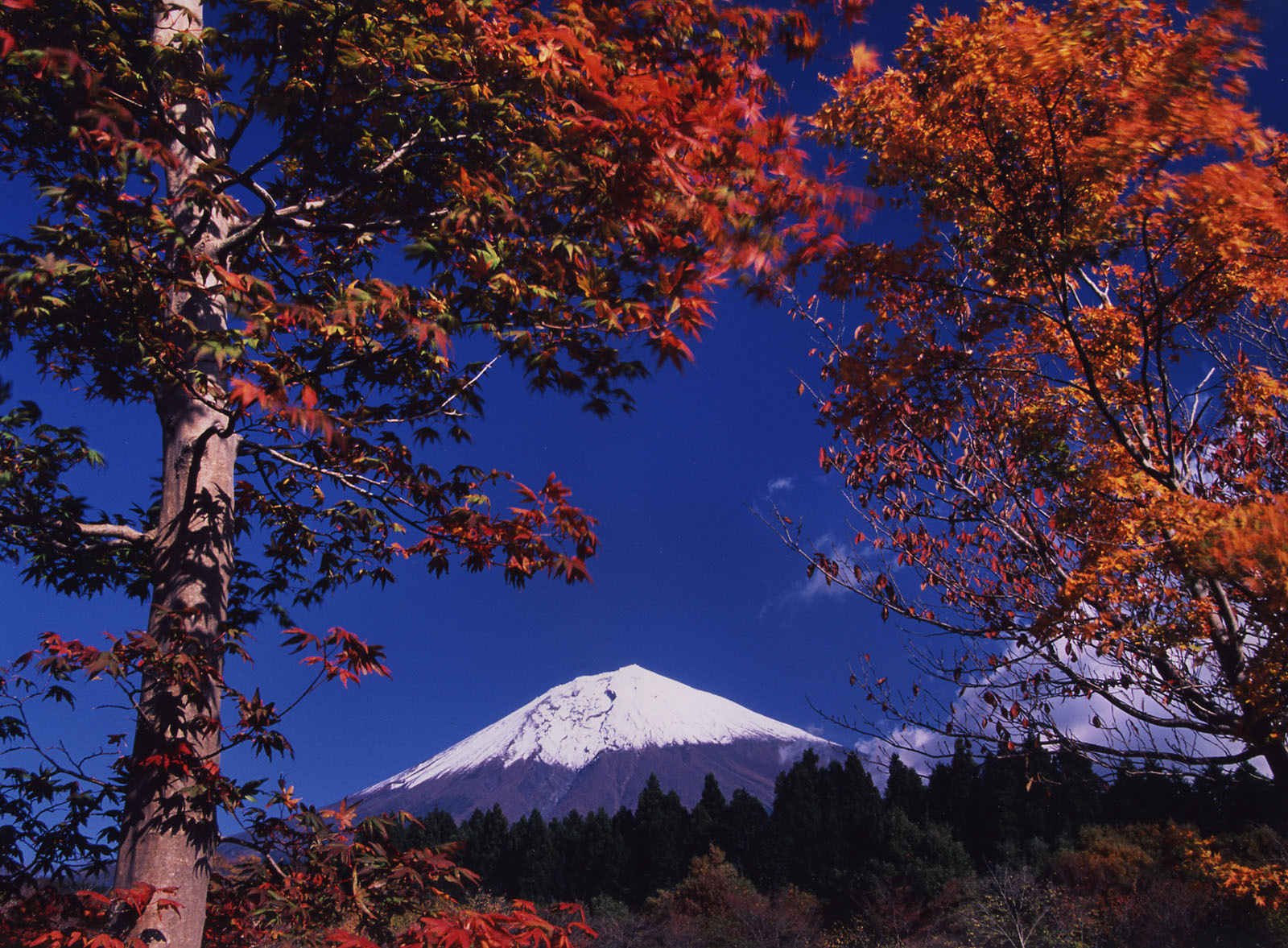 富士山画像作品