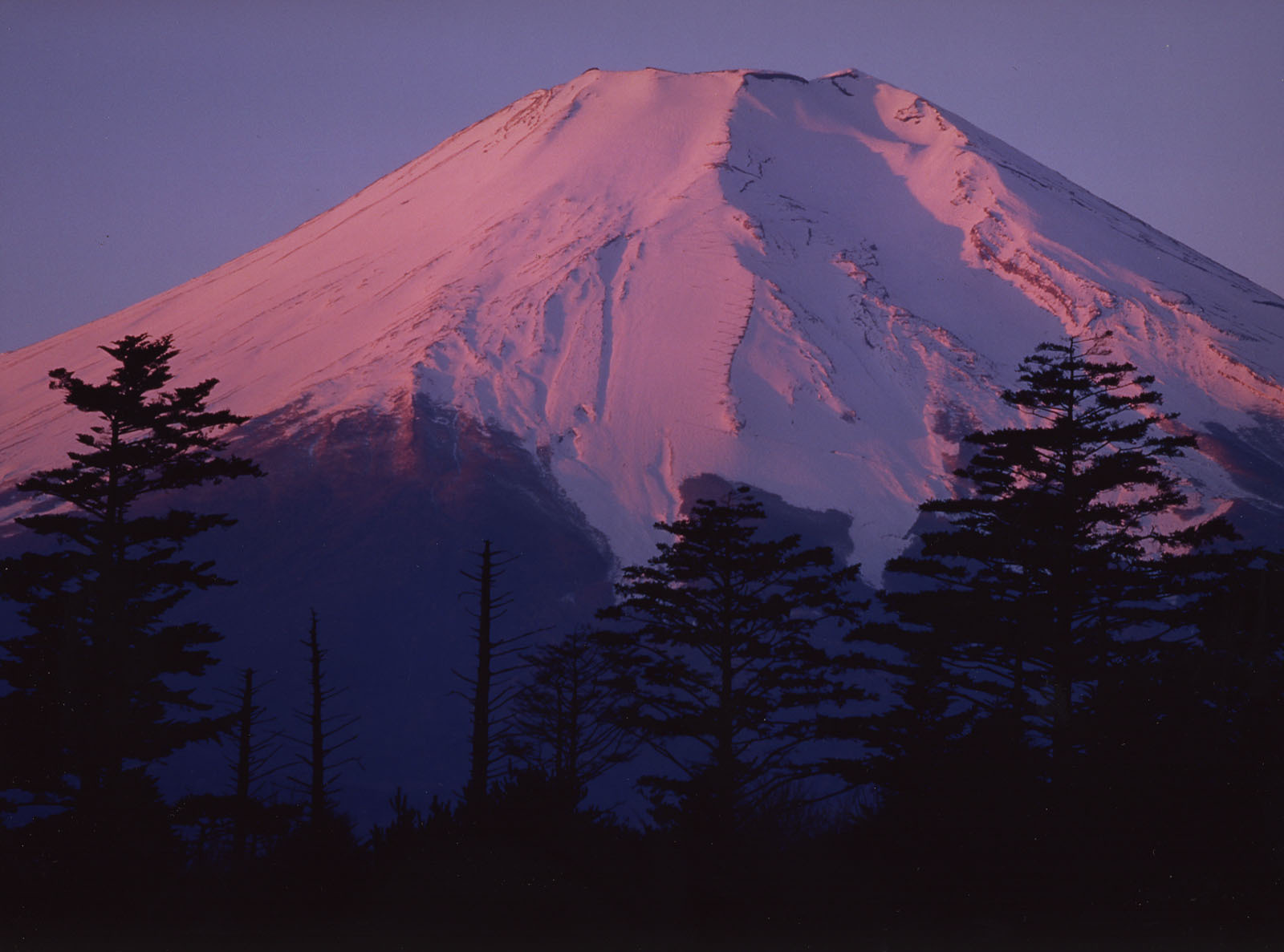 富士山画像作品