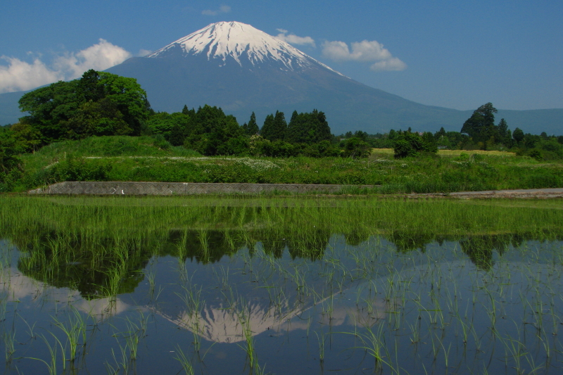 富士山画像作品