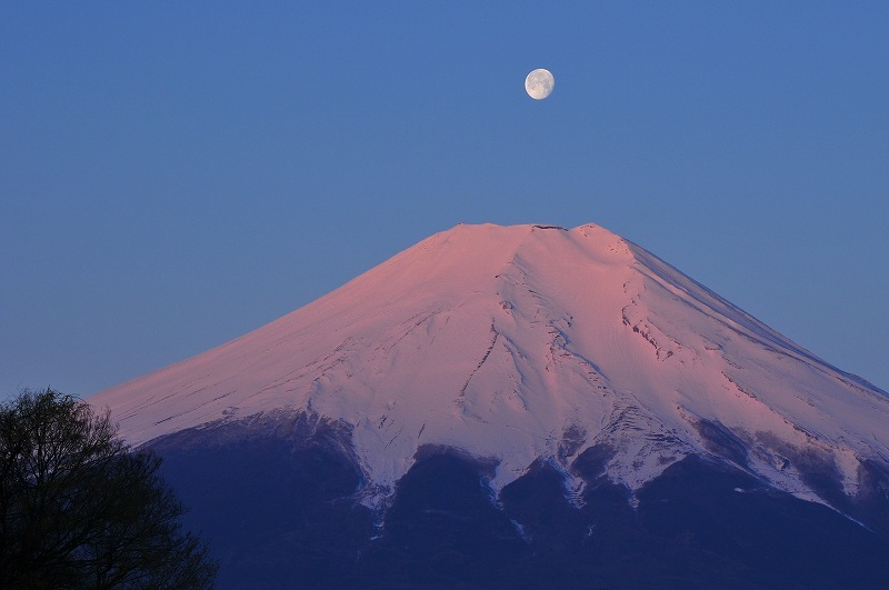 富士山画像作品