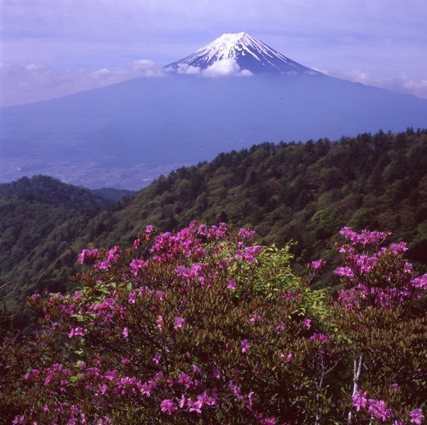 富士山画像作品