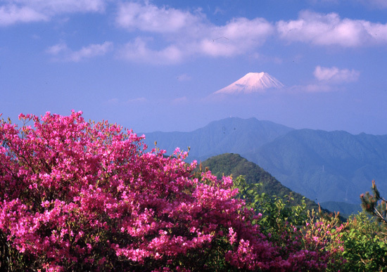 富士山画像作品