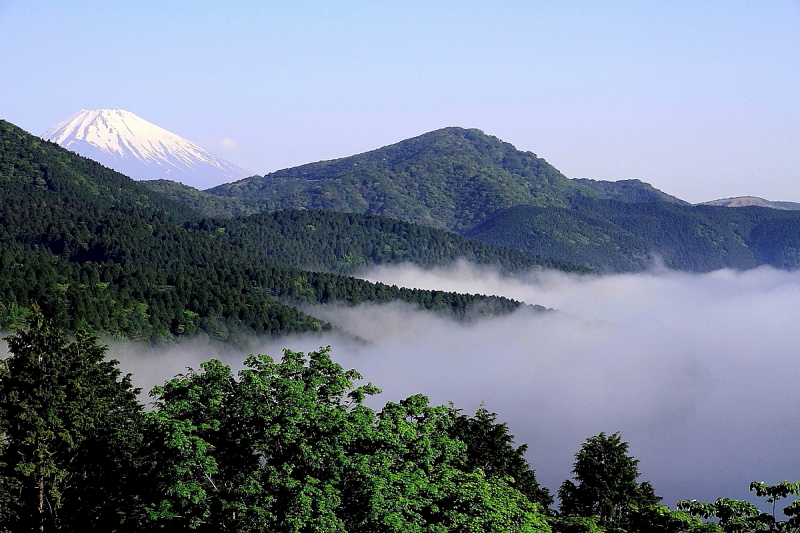 富士山画像作品