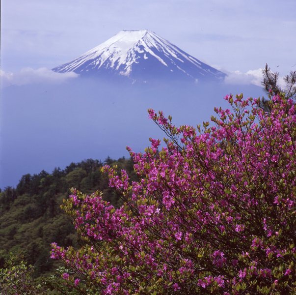 富士山画像作品