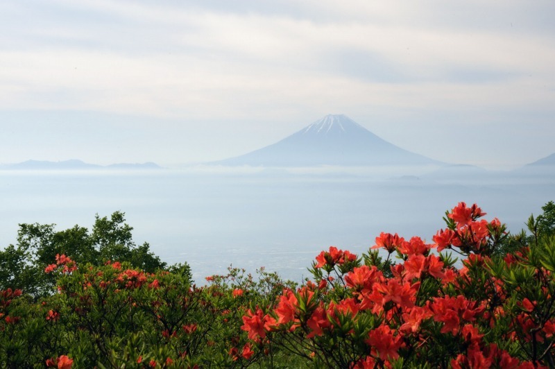 富士山画像作品