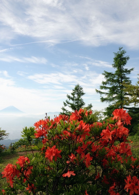 富士山画像作品