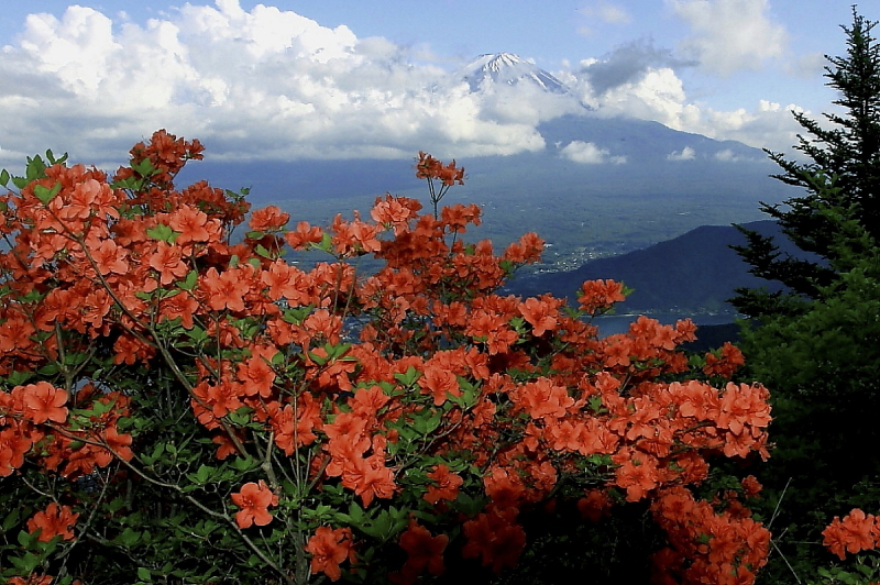 富士山画像記録