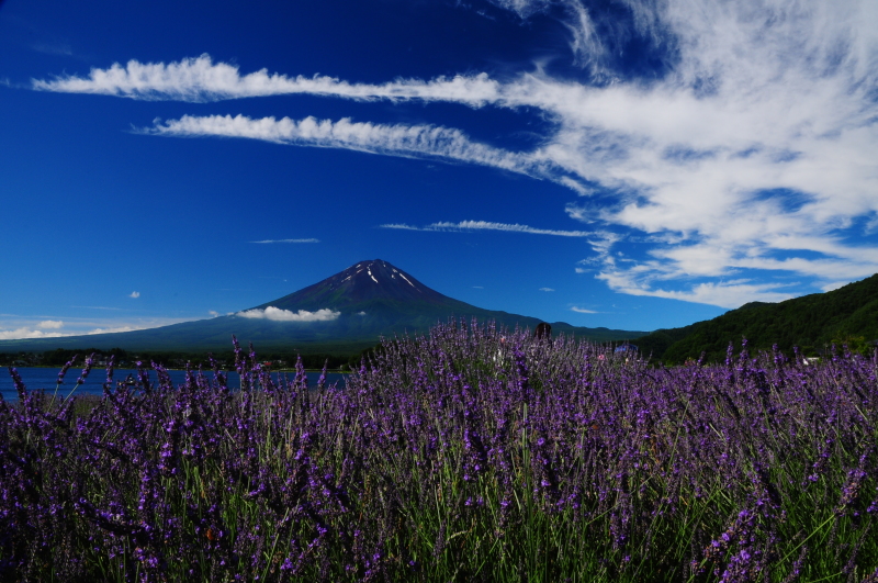 富士山画像記録