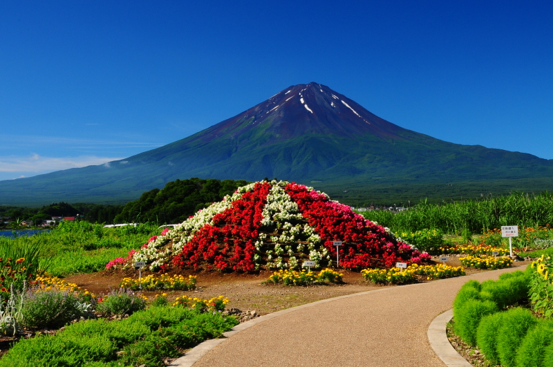 富士山画像記録