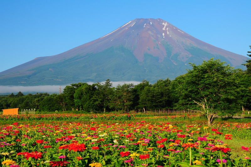 富士山画像記録