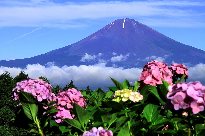 富士山画像作品