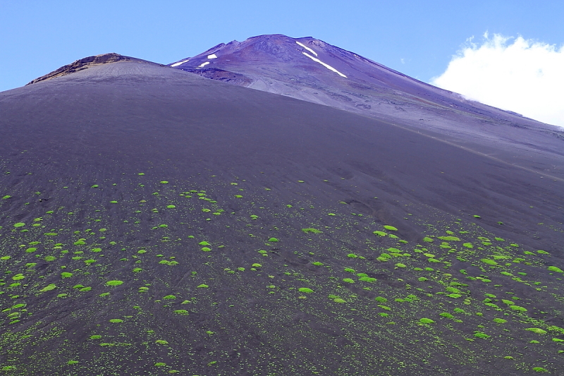 富士山画像作品