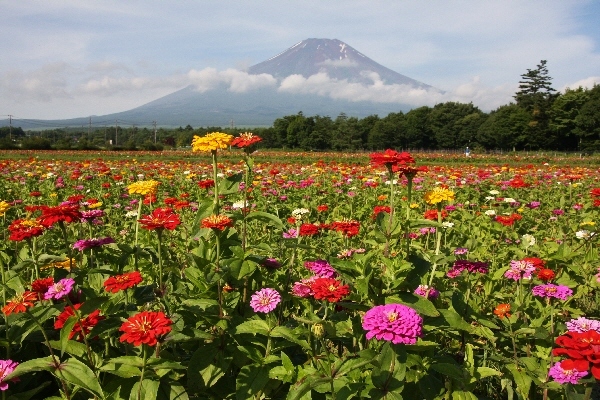 富士山画像記録