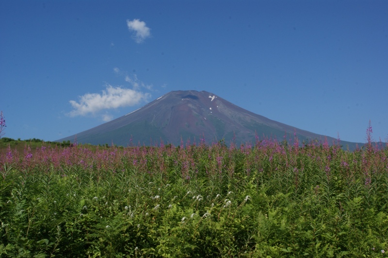 富士山画像記録