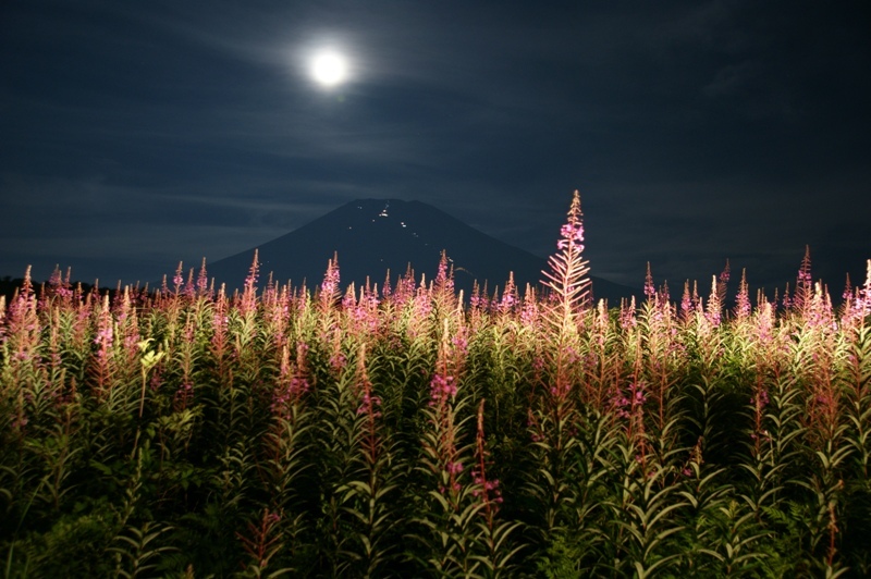 富士山画像記録