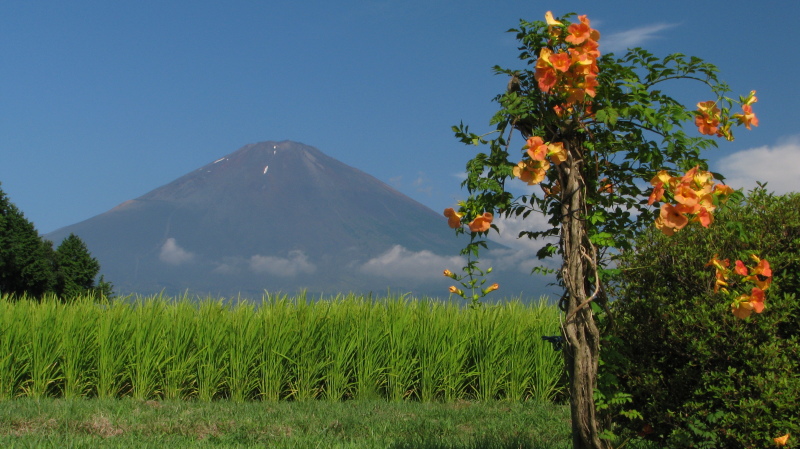 富士山画像作品