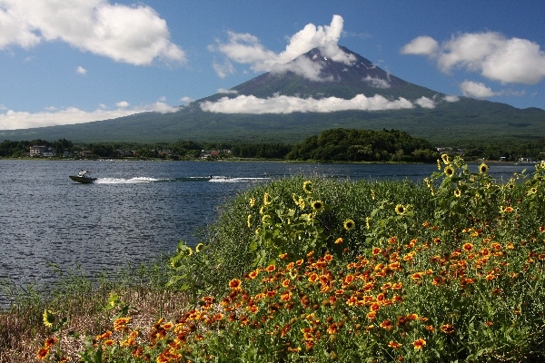 富士山画像作品