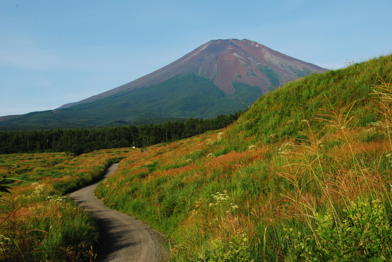 富士山画像作品